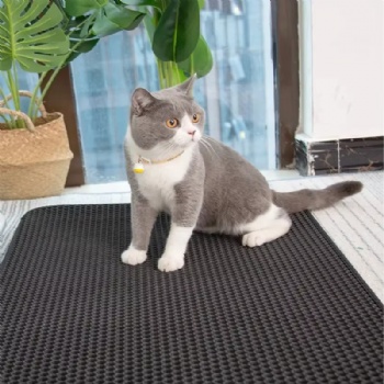  Dual Layer Cat Scratch Mat and Pet Cushion Waterproof Urine Proof with Honeycomb Design Sustainable EVA Material for Masking	